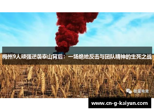 梅州9人顽强逆袭泰山背后:一场绝地反击与团队精神的生死之战 梅州9人顽强逆袭泰山背后:一场绝地反击与团队精神的生死之战